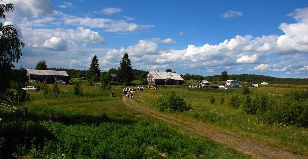 Haikola. Kuva: Janne Seppänen