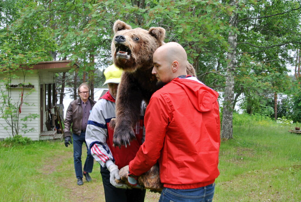 Karhu matkalla Sommeloon (c) Kyösti Romppanen